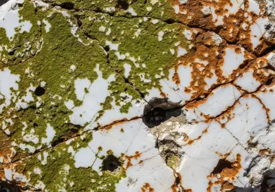 Imagen PNG para descargar